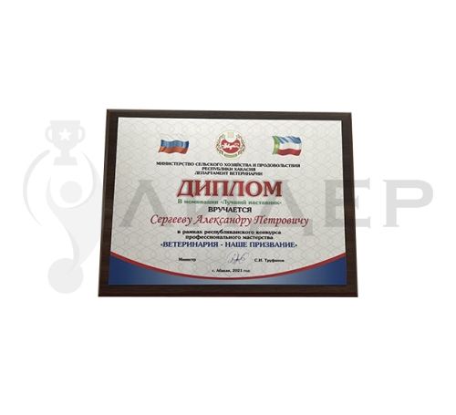 Плакетка (наградная доска) формат А4 с термопереносом