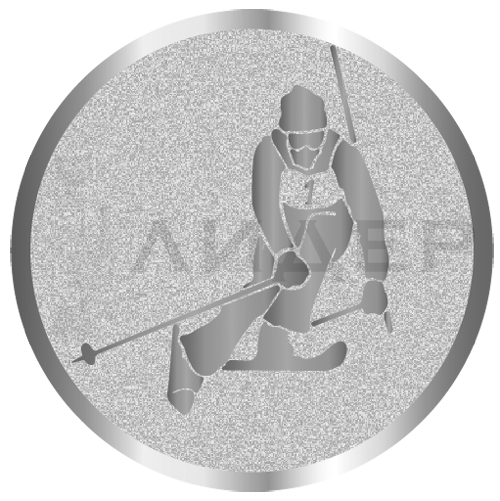 вкладыш E25095S_25_лыжи