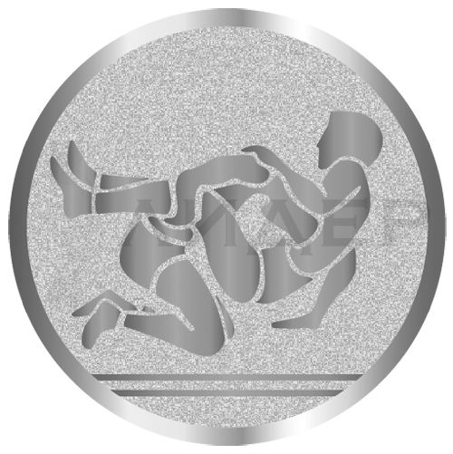 вкладыш E25080S_25_борьба