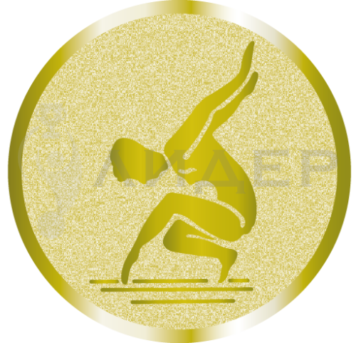 вкладыш E50044G_50_гимнастика