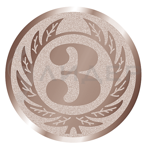 вкладыш E25107B_25_3 место