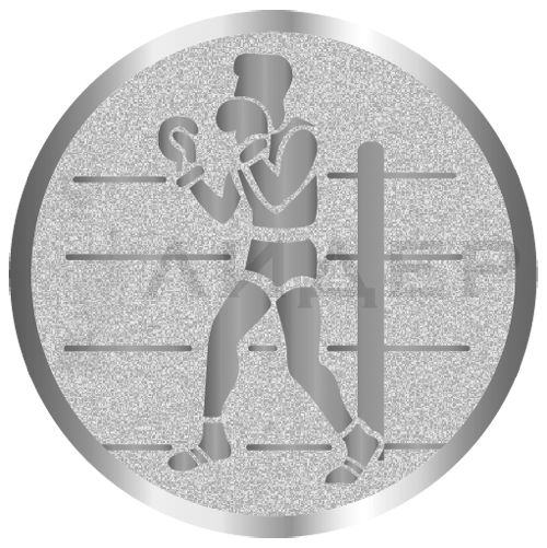 вкладыш E25079S_25_бокс