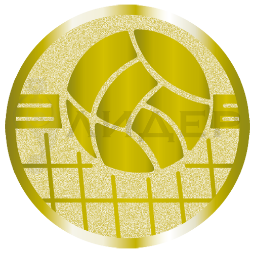 вкладыш E25139G_25_волейбол