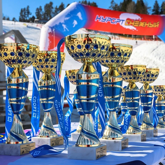 Областные физкультурные соревнования "Кубок Федерации Ленинградской области" в дисциплине слалом-гигант