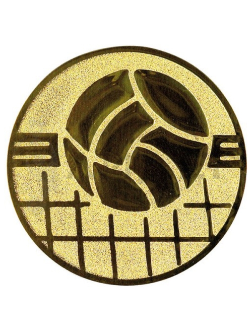 вкладыш A1.139.01_25G Волейбол