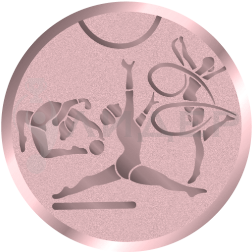 вкладыш E25141B_25_гимнастика