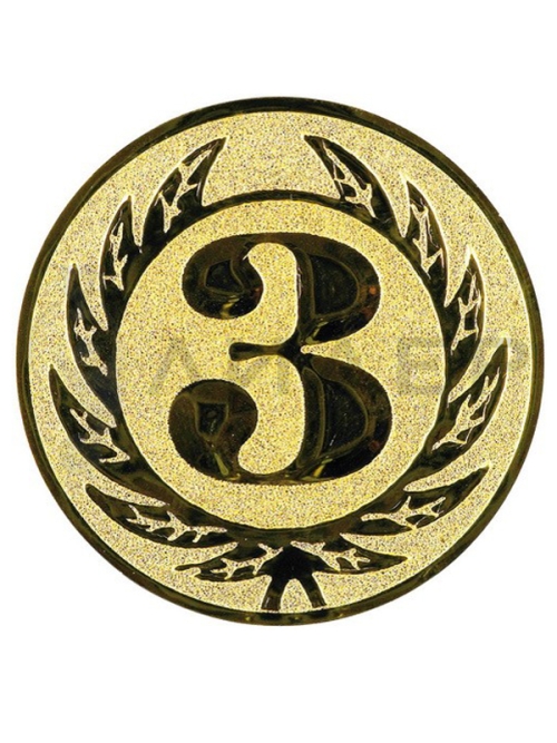 вкладыш A1.107.01_25G 3 место 