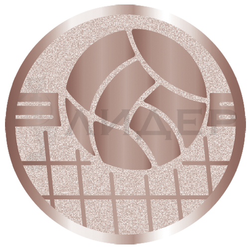 вкладыш E25139B_25_волейбол