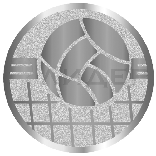 вкладыш E50139S_50_волейбол