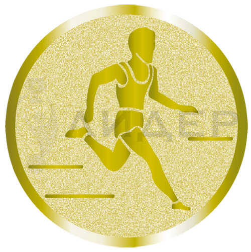 вкладыш E25025G_25_бег