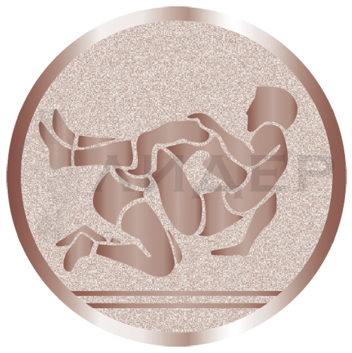 вкладыш E25080B_25_борьба