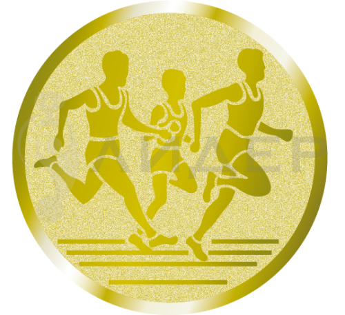 вкладыш E50027G_50_ бег группа