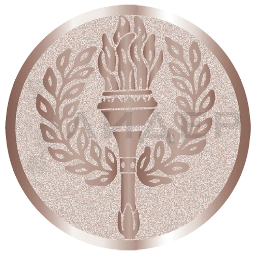 вкладыш E50004B_50_Факел