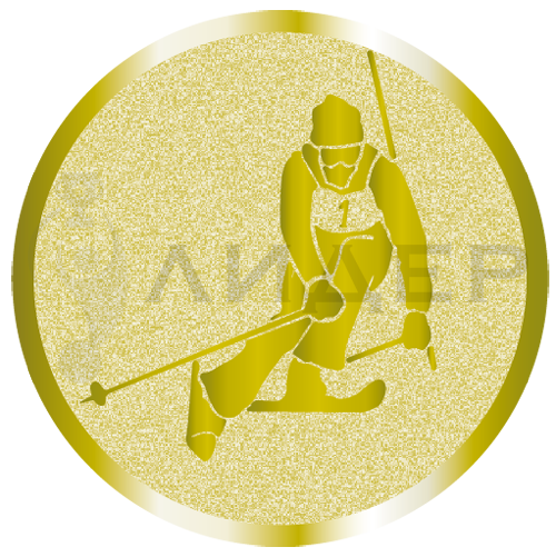 вкладыш E25095G_25_лыжи