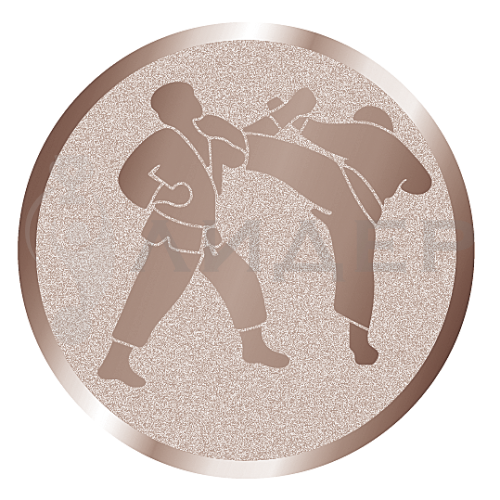 вкладыш E25078B_25_каратэ