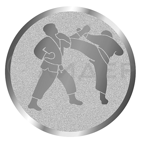 вкладыш E50078S_50_каратэ