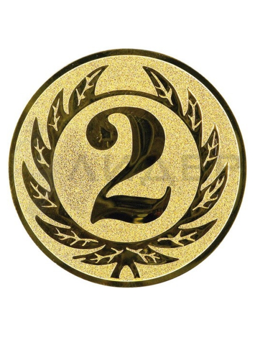 вкладыш A1.106.01_25G 2 место 