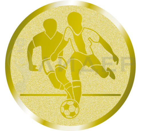 вкладыш E50001G_50_Футбол 