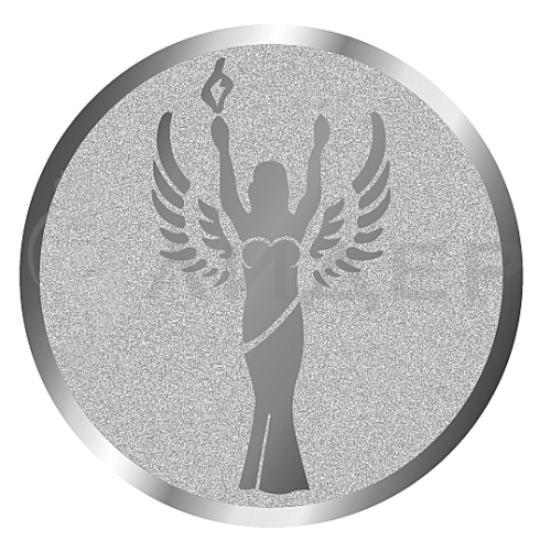 вкладыш E50003S_50_Ника