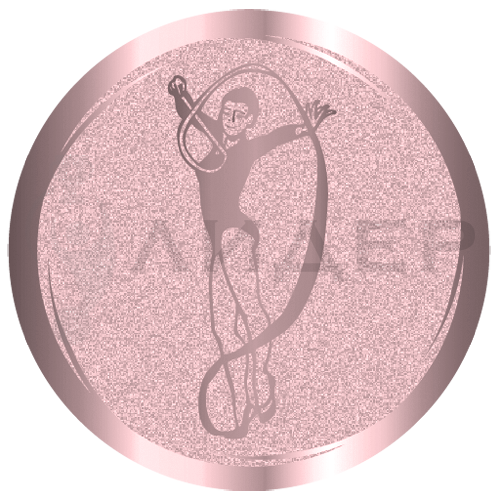 вкладыш E25GYMN005B_25_Гимнастика