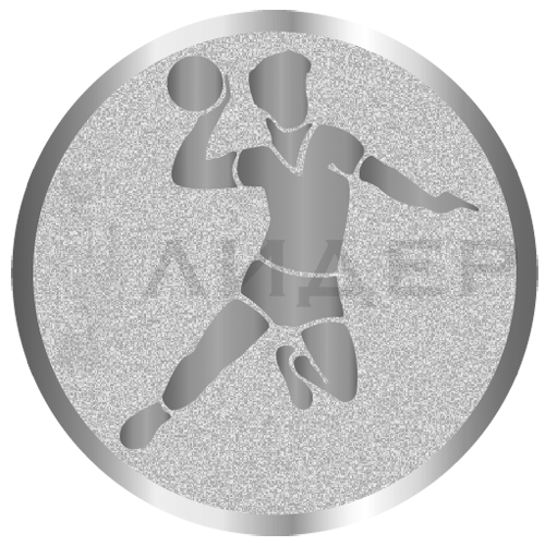 вкладыш E25007S_25_Гандбол