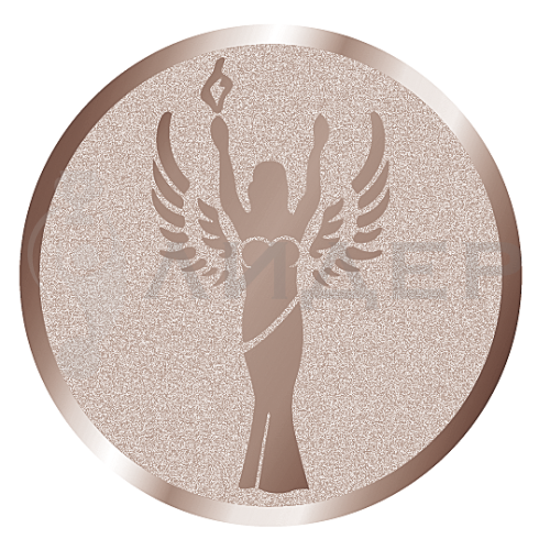 вкладыш E50003B_50_Ника