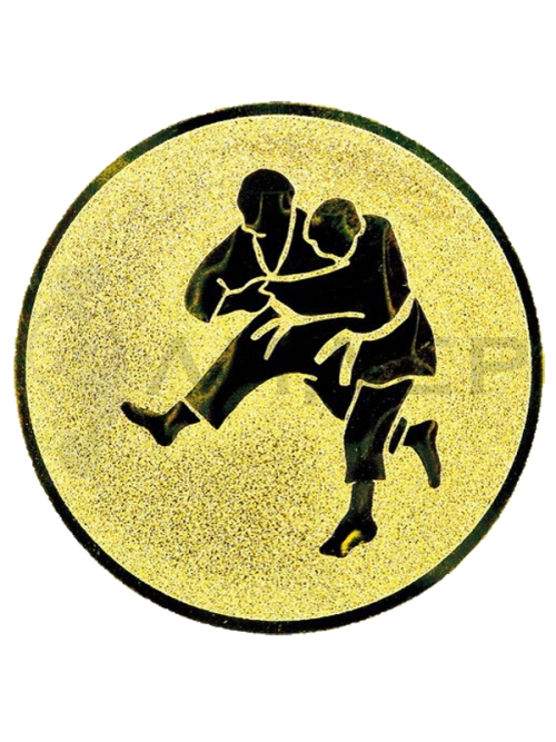 вкладыш A1.077.01_25G Дзюдо