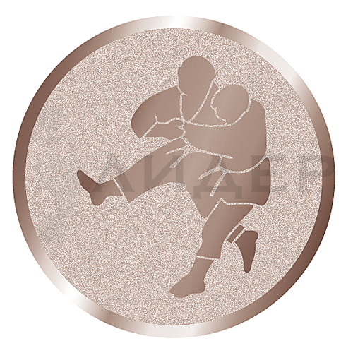 вкладыш E25077B_25_дзюдо