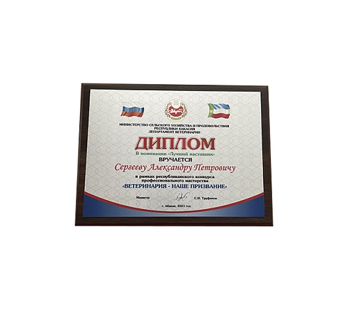 Плакетка (наградная доска) формат А5 с термопереносом