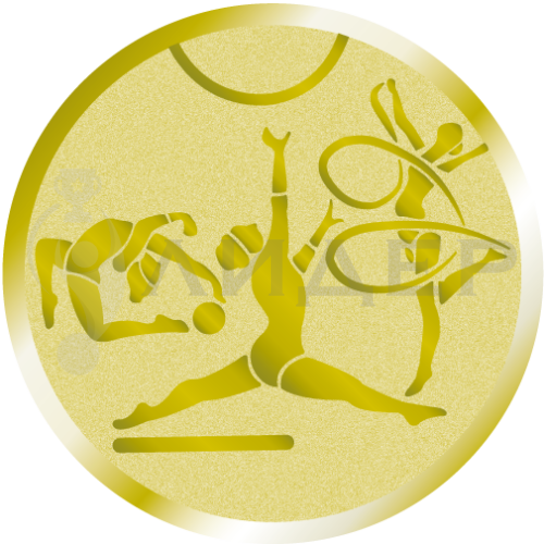 вкладыш E50141G_50_гимнастика