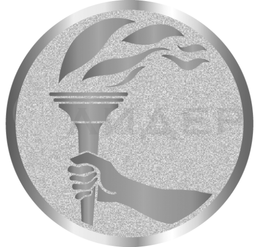 вкладыш E25145S_25_олимпийский факел