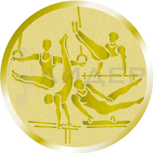 вкладыш E25150G_25_легкая атлетика муж.