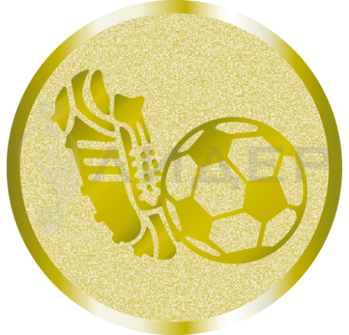 вкладыш E25531G_25_футбол