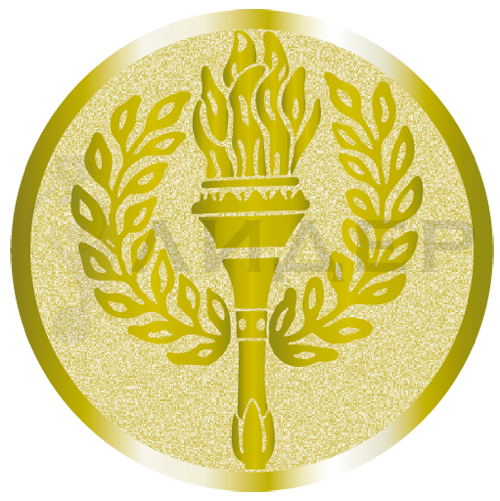 вкладыш E25004G_25_Факел