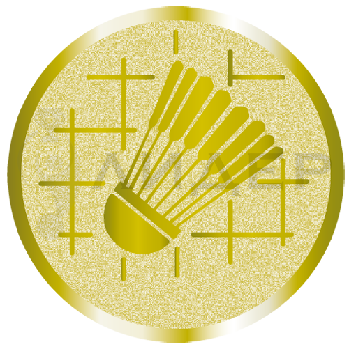 вкладыш E25034G_25 бадминтон