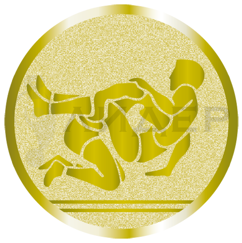 вкладыш E25080G_25_борьба