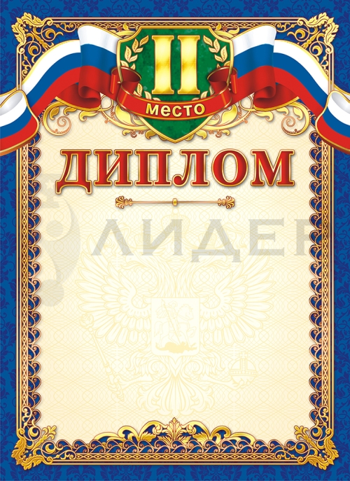 Диплом 2 место ОГ-1181