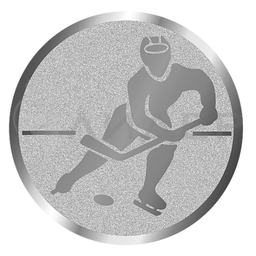 вкладыш E50099S_50_хоккей