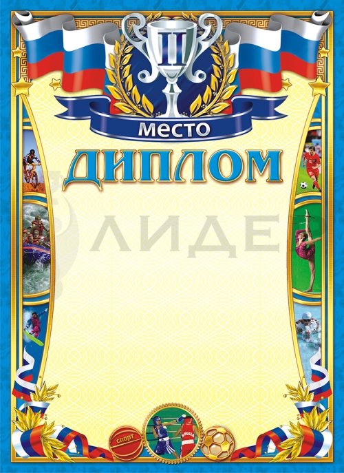 Диплом ОГ-1043 (Спорт 2 место)