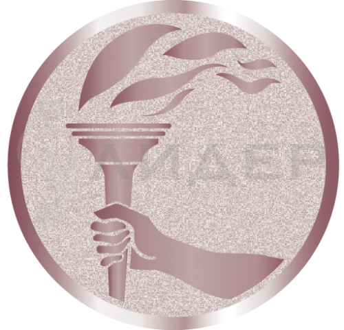 вкладыш E25145B_25_олимпийский факел