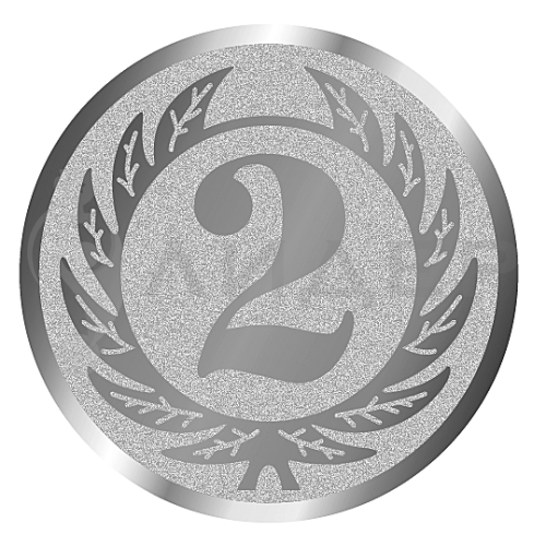 вкладыш E25106K_25_2 место