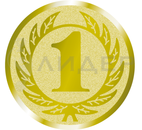 вкладыш E25105G_25_1 место