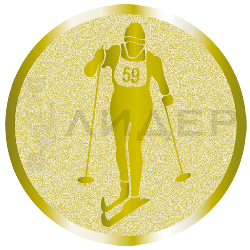 вкладыш E25096G_25_лыжи