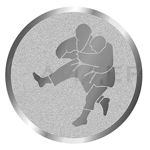 вкладыш E50077S_50_дзюдо