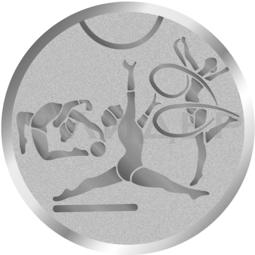 вкладыш E50141S_50_гимнастика