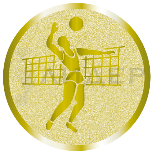 вкладыш E25019G_25_волейбол