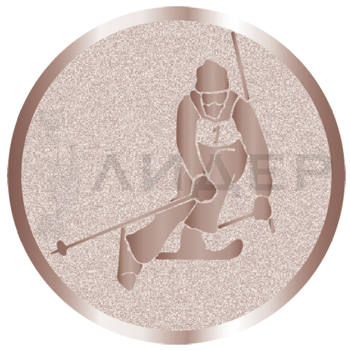 вкладыш E25095B_25_лыжи