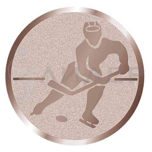 вкладыш E50099B_50_хоккей