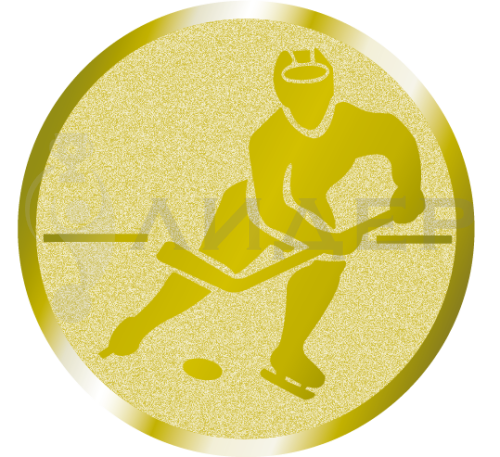 вкладыш А2.099.01_50_хоккей